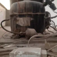 یخچال ویترینی|یخچال و فریزر|زهک, |دیوار