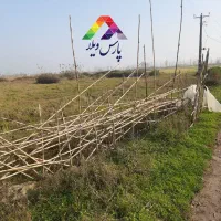 زمین-باغی4000متری-متری-یک-میلیون-پول-لازم-زیباکنار