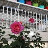 خانه ویلایی متراژ زمین ۱۰۲ متر شهرک مصطفی خمینی|فروش خانه و ویلا|شهریار, شهرک مصطفی خمینی|دیوار
