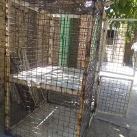 قفس مرغ و خروس اهنی|لوازم جانبی حیوانات|بوکان, |دیوار