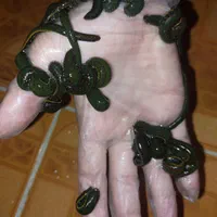 زالو زالو طبی با گیرایی بالا فروش زالو زالو درمانی|خزنده|شیراز, پانصد دستگاه ارتش|دیوار