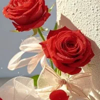 برای شرایط پیام بدهید