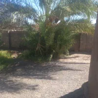 کارگر روز مزد هستم خودشه بری و استا بنای