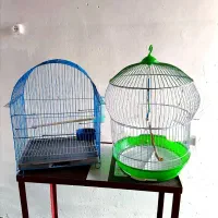 قفس پرنده