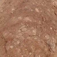 کود حیوانی گلخونه ای