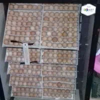 دستگاه جوجه کشی