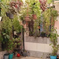 فروش خانه ویلا 70 متری|فروش خانه و ویلا|محمدشهر, جعفرآباد|دیوار