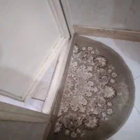 پادری ۳عدد با هم ۷۰۰
