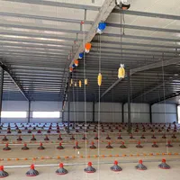 تجهیز سالن های گوشتی و تخم گذار