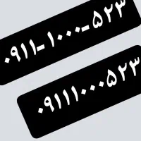 ۰۹۱۱-۱۰۰۰-۵۲۳