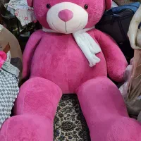 خرس ولنتاین