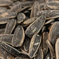 تخمه ۱۹۰ عمده|خوردنی و آشامیدنی|نیشابور, ده حلاج|دیوار