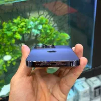 iphone 14pro|موبایل|شیراز, زند|دیوار