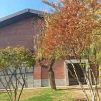 کارگر ساده ، ظرفشور. پیتزازن و ساندویچ زن