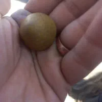 سنگ قدیمی بصورت هرمی