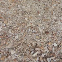 نان خشک تمیز