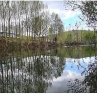 باغ-لب-جاده-بالای-گاوازنگ-امند