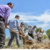 کارگر باغبانی بیل زنی باغ با غچه علف زنی حر س کار