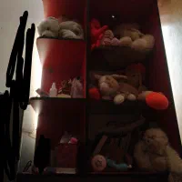 به درد نجار میخوره درستش