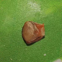 سنگ عقیق خام واسه انگشتر|کلکسیون اشیاء عتیقه|اهواز, ملاشیه|دیوار