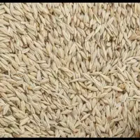 جو.گوسفند.تفاله.کاه