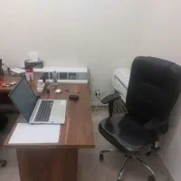 محتوا نویس وردپرس حرفه ای