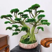 بنسای و درخت جاودان با خزه و گل طبیعی بدون مراقبت|گل مصنوعی|تهران, بهارستان|دیوار