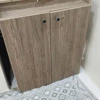 جاکفشی سالم