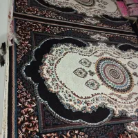 فرش6|فرش|همدان, |دیوار