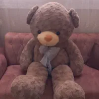 یگ عدد خرس بزرگ صفر