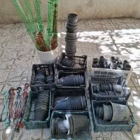 گلدان سرامیکی سفیدوقیم شرکتی وگلدان پلاستیکی مشکی|گل و گیاه طبیعی|نیشابور, شهرک بسیج|دیوار
