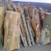 خریدارچوب درختان خیس وخشک صنعتی وزغالی|خدمات باغبانی و درختکاری|تهران, عبدلآباد|دیوار