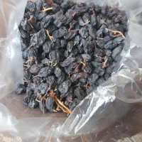مویز بش دشمن زیاری|خوردنی و آشامیدنی|شیراز, تحویلی|دیوار