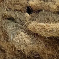 فروش بیده دست پیج