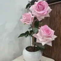 گل رز مصنوعی