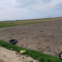 زمین-فروشی-300-متر-بر-بلوار-45-متری