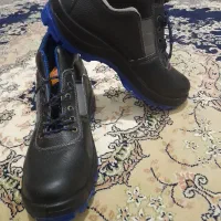 کفش نو|کیف، کفش، کمربند|اردبیل, |دیوار