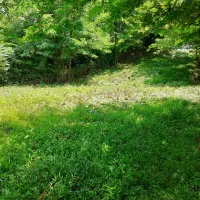 زمین ۸۴۰ متری در جاده ماسوله|فروش زمین و ملک کلنگی|ماکلوان, |دیوار