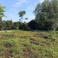 زمین-رشدبالاینده-دار160م-کلبه-سوییسی-شیک-بساز-سند