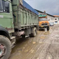 کود مرغی|خدمات باغبانی و درختکاری|کرمان, |دیوار