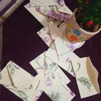 جای کارت پول با تنوع رنگ