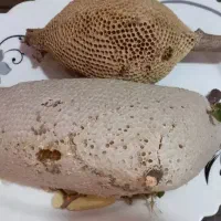 عسل طبیعی|عمده‌فروشی|بوشکان, |دیوار