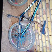 دوچرخه ویوا 24