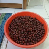 عناب گوشتی امسالی