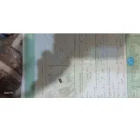 سند برای ازادی زندانی
