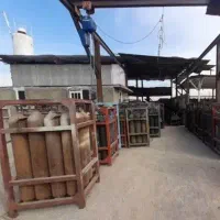 راننده نیسان جهت کار با حقوق و درصدی