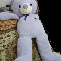 خرس بزرگ