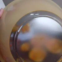 سرویس آرکوپال لومینارک اصل فرانسه باپارچ ولیوان|ظروف سرو و پذیرایی|کرج, چهارصد دستگاه|دیوار