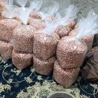 فروش بادام زمینی برشته درجه یک