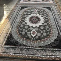 فرش های ۶متری کاشان|فرش|لنگرود, |دیوار